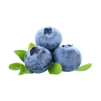 <a class="ingredient-link" data-ingredient-link-id="111" data-clicks="0" href="https://amzn.to/3Zsw6cS" target="_blank" rel="nofollow sponsored">blueberries</a>